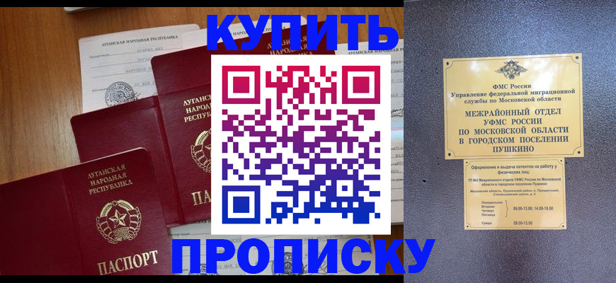 прописка в квартире в Сертолово